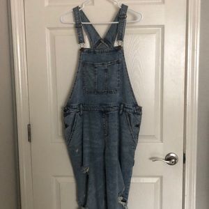 Wild Fable Overalls